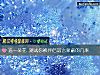 《選一朵花 測試你被<i>伴侶</i>謊言蒙蔽的幾率》测试