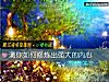 《測你如何修煉出強大的<i>內心</i>》测试