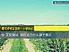 《美妝測試 測你<i>適合</i>什麼顔色腮紅》测试