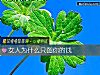 《<i>女人</i>爲什麼只圖你的錢》测试