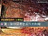 《測一測你還要吃<i>多久</i>的狗糧》测试
