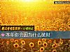 《本年你會因爲什麼<i>破財</i>》测试