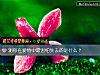 《測你在<i>愛情</i>中最害怕失去的是什麼？》测试