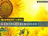 《你想不想知道你<i>朋友</i>圈的品質如何？》测试