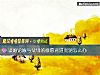 《談婚論嫁與父母的意願背道而馳<i>怎麼辦</i>》测试