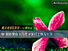 《測你要奮鬥幾年才能過上現充<i>生活</i>》测试