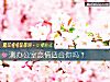 《測辦公室<i>戀情</i>適合你嗎？》测试