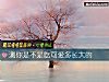 《測你是不是吃<i>可愛</i>多長大的》测试
