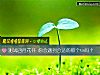 《測試四月花開 你會<i>遇到</i>合適的那個ta嗎？》测试