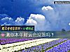 《測你本年財運會沒落嗎？》测试