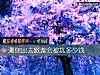 《測你出去旅遊會被坑多少錢》测试