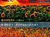 《測你在十一月會和誰反目成仇呢？》测试