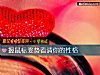 《握鼠標姿勢看清你的<i>性格</i>》测试