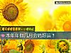 《本年年你幾月會轉<i>好運</i>？》测试