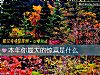 《本年你最大的<i>驚喜</i>是什麼》测试