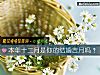 《本年十二月是你的<i>結婚</i>吉月嗎？》测试