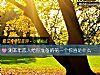 《測本年<i>戀人</i>給你准備的第一個驚喜是什麼》测试