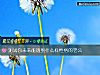 《測試你未來能<i>遇到</i>什麼樣性格的老公》测试