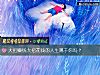 《大把賺錢大把<i>花錢</i>的人生屬于你嗎？》测试