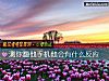 《測你翻他手機他會有什麼<i>反應</i>》测试
