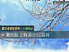 《測你臉上有多少層面具》测试