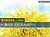 《測你能說出多肉麻的話》测试