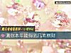 《測你本年能得到幾筆<i>橫財</i>》测试