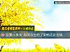 《浪漫vs現實 你的余生給了<i>愛情</i>還是金錢》测试