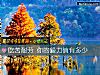 《吃苦耐勞 你的毅力值有多少》测试