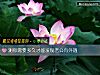 《測你需要多久才能發現<i>老公</i>有外遇》测试