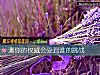 《測你的權威會受到誰的挑戰》测试