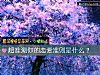 《超准測你的<i>戀愛</i>准則是什麼？》测试