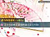 《本年你的<i>桃花</i>最強檔期會是在何時》测试
