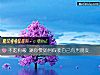 《不吃狗糧 測你要如何假裝自己有男<i>朋友</i>》测试