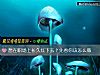 《想在職場上長久紅下去？先看你該怎麼做》测试