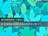 《在<i>愛情</i>面前的你戀愛心智有多遲鈍？》测试