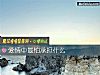 《<i>愛情</i>中最怕承擔什麼》测试