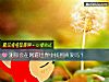《測你會在網遊世界中找到<i>真愛</i>嗎？》测试