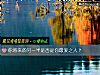 《你將來的另一半是否是你<i>最愛</i>之人？》测试