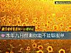 《本年九月份測你能不能夠<i>脫單</i>》测试