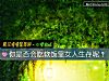 《你是否會吃軟飯靠<i>女人</i>生存呢？》测试