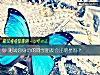 《測試你身邊的同學<i>朋友</i>會出明星嗎？》测试