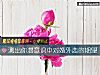 《測出你潛意識中對<i>婚外</i>戀的期望》测试