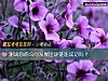 《測試你的公司<i>發展</i>區塊鏈能成功嗎？》测试