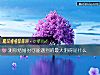 《測你結婚時可能<i>遇到</i>的最大阻礙是什麼》测试