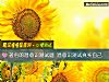 《著名的潛意識測試題 潛意識測試<i>真實</i>自己》测试
