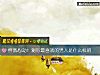 《怦然心動！測你最喜歡的<i>男人</i>是什麼樣的》测试