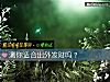 《測你適合出外<i>發財</i>嗎？》测试