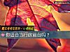 《你適合當行政前臺嗎？》测试