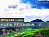 《從你的手機尾數測你<i>桃花運</i>》测试